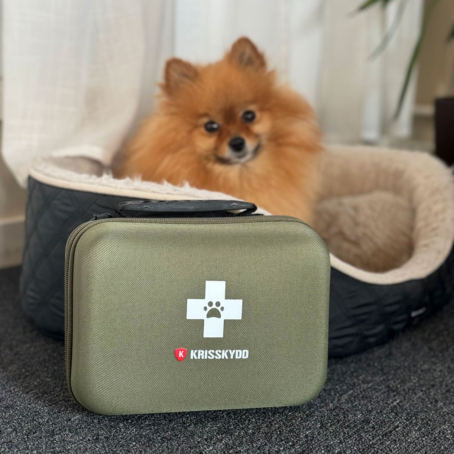 Førstehjelpssett for hund og katt